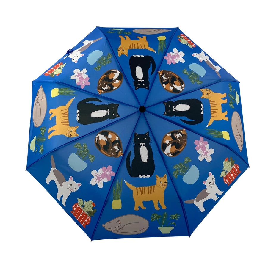 cats umbrella