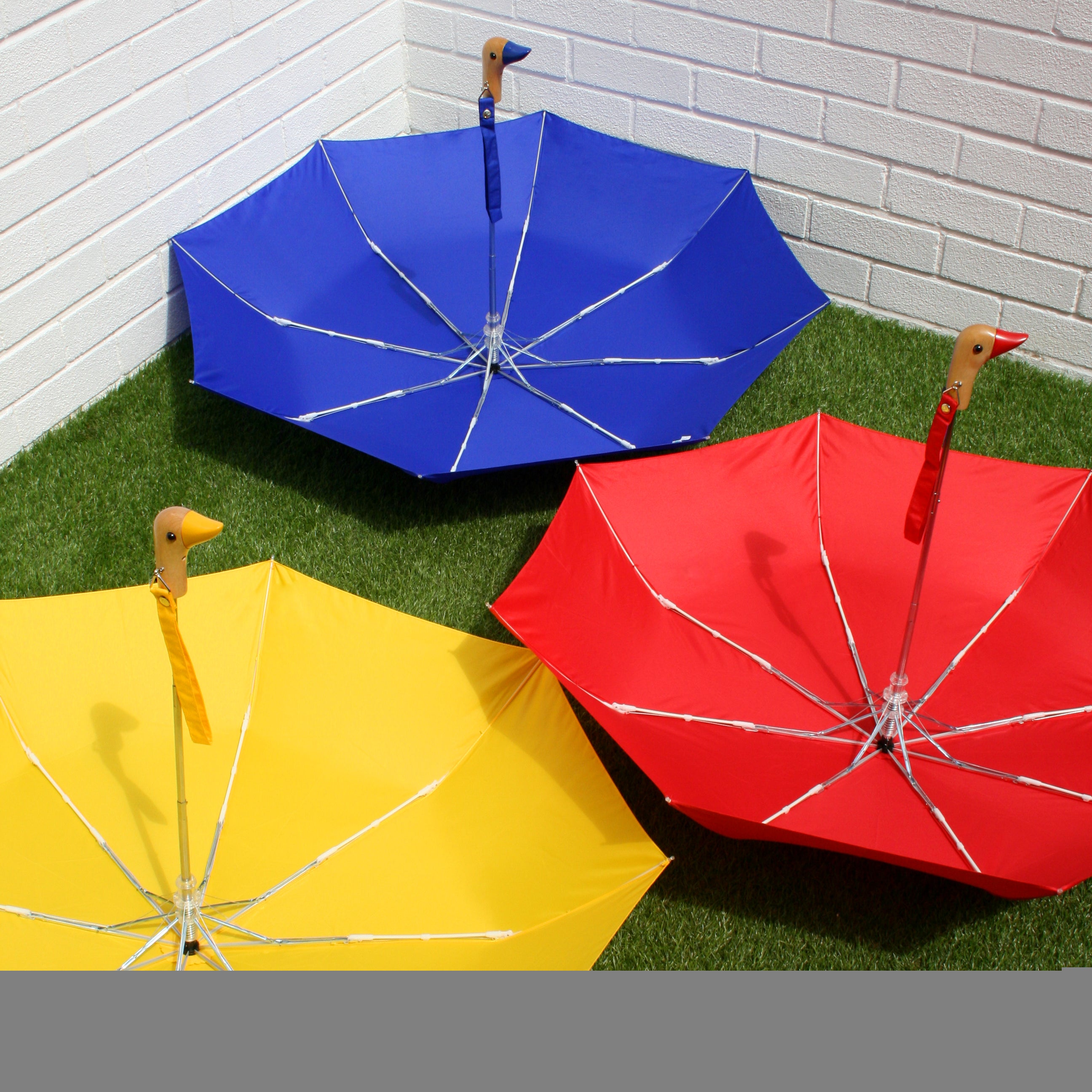 duckhead umbrellas in many colors
